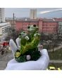 Жабешко семейство на парите и късмета