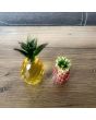Ананаси, миниатюри