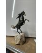 Авторска пластика на кон