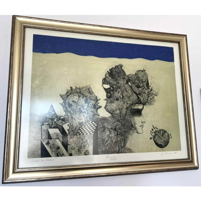 Картина с рамка, Диана Стоилова