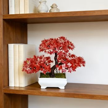 Бонзай, коралова любов