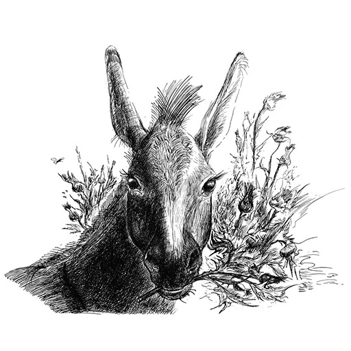 Протоколни подаръци Луксозни